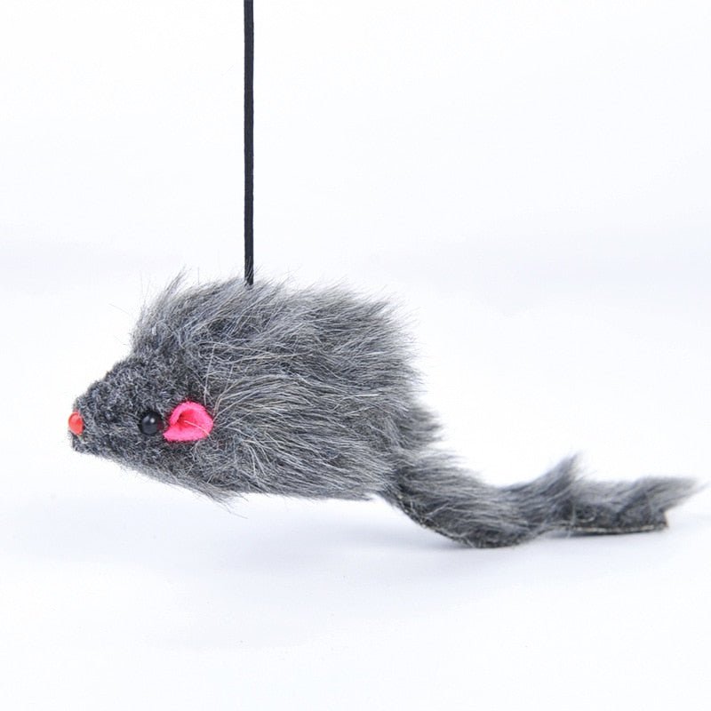 Door Hanging Funny Cat Toy - Image 6