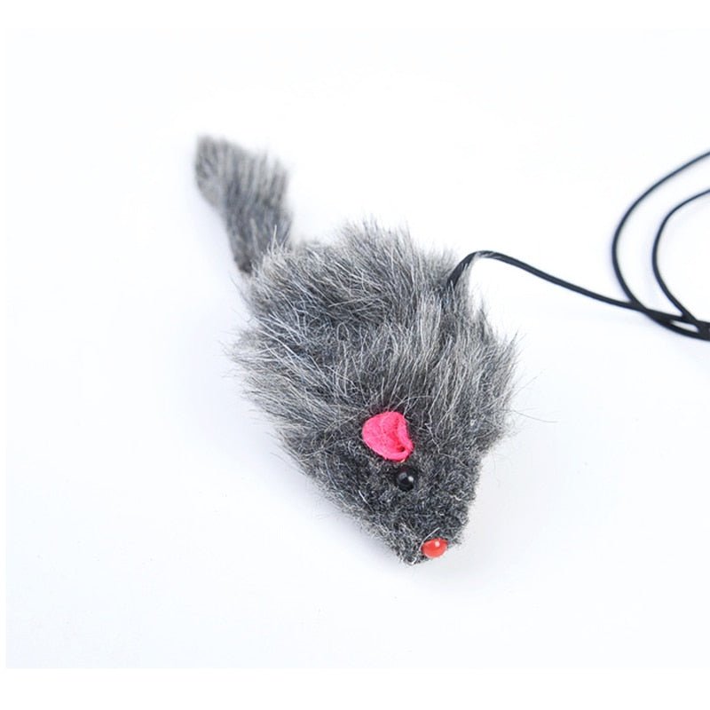 Door Hanging Funny Cat Toy - Image 5
