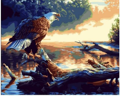 Eagle Screeching - Painting By Numbers Kit