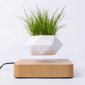 Flyte™ Levitating Plant Pot