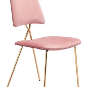19.7" x 21.9" x 35.8" Pink & Gold, Velvet, Steel & Plywood, Chair Chair
