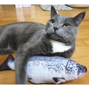 Floppy Fish Cat Toy