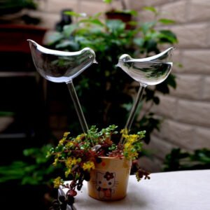 Self-Watering Plant Glass Bulbs (Set of 2)