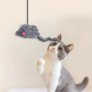 Door Hanging Funny Cat Toy