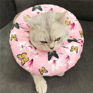 Cat Adjustable Recovery Cone