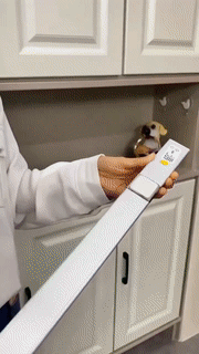 Automatic Sensor Light - Image 10