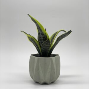 Fold Concrete Planter