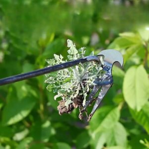 WeedWizard™ Garden Weed Puller