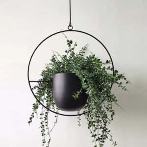 Modern Plant Hanger