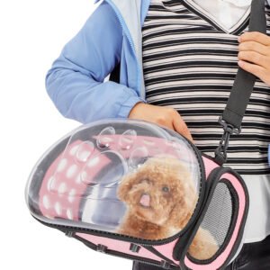 Transparent Carrier For Cat Kitten Puppy Transportation